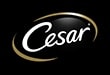 Cesar