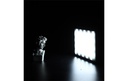 Gallery 12