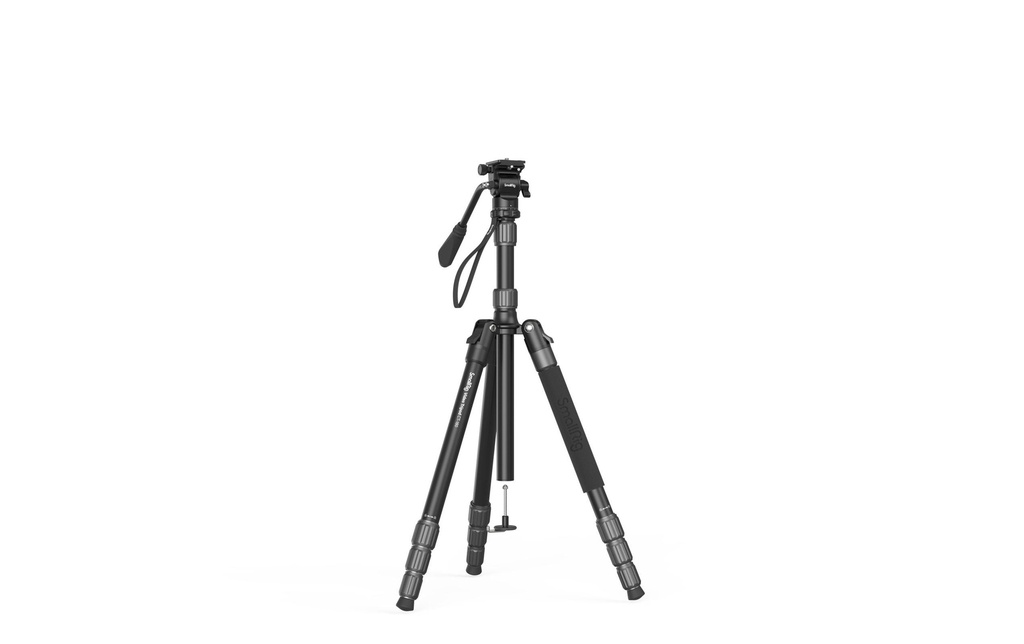 Gallery 20