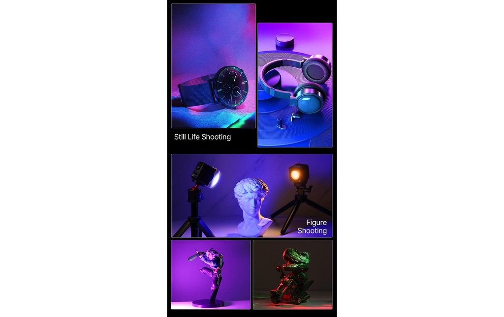 Gallery 25