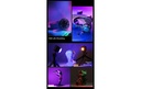 Gallery 25