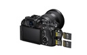 Gallery 3