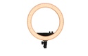 Gallery 1