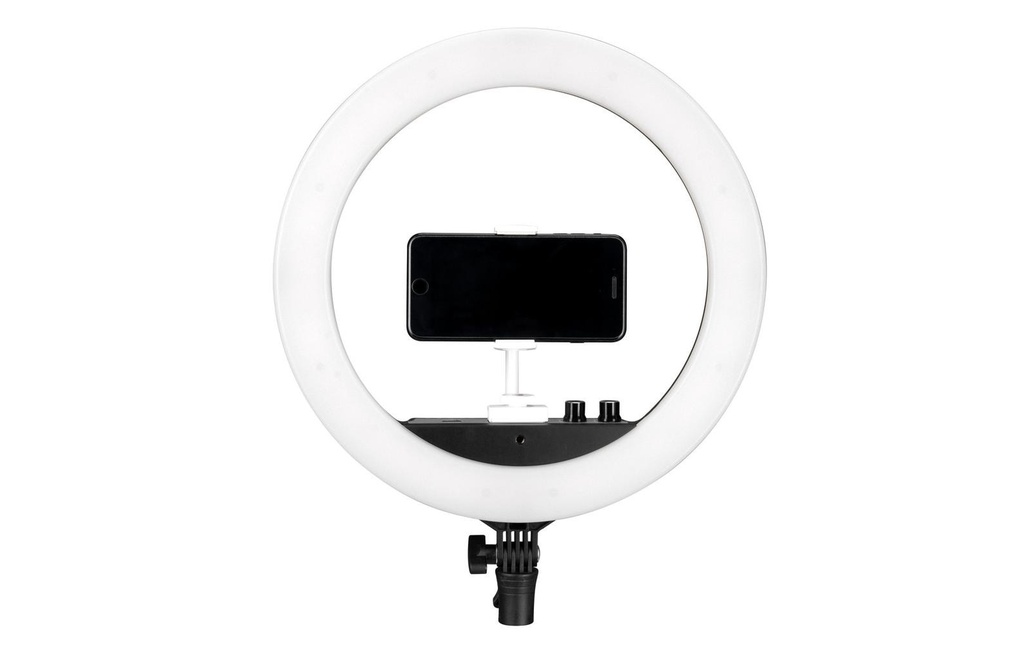 Gallery 3