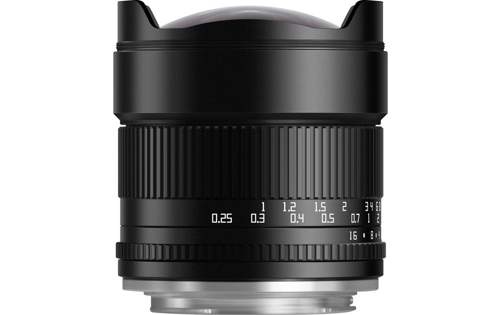Gallery 1