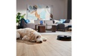 Gallery 4