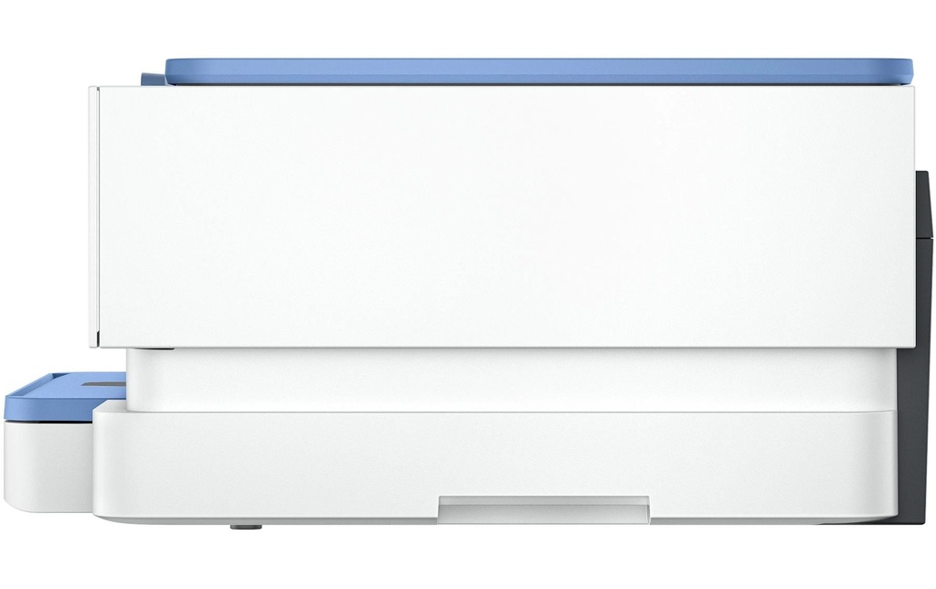 Gallery 11