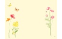 Gallery 2