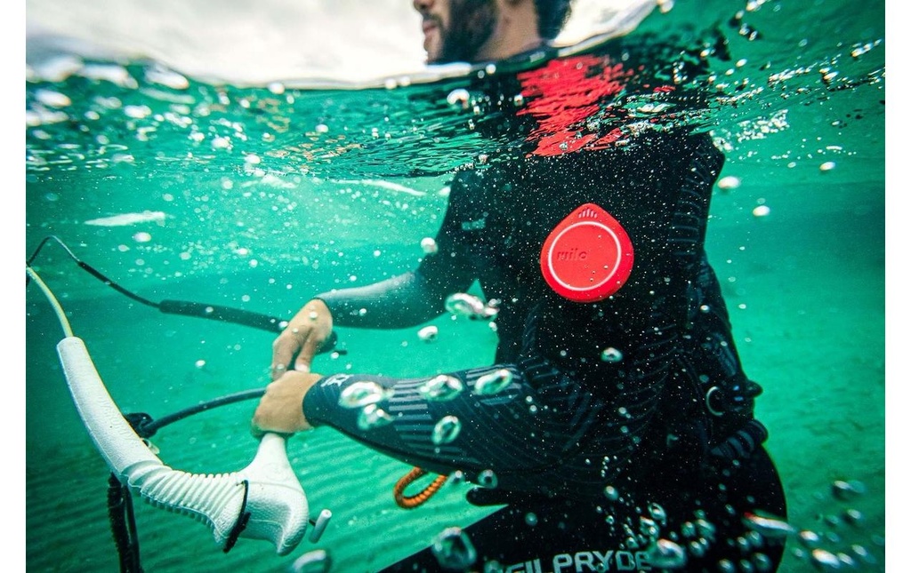 Gallery 4