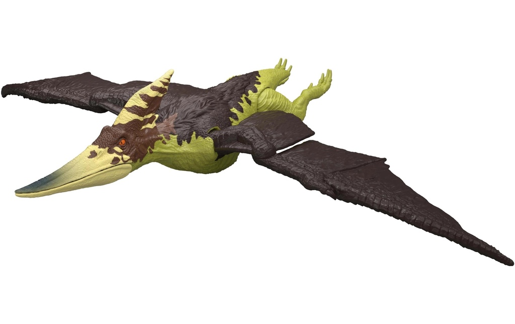 Gallery 3