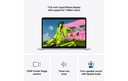 Gallery 5