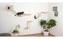 Gallery 4