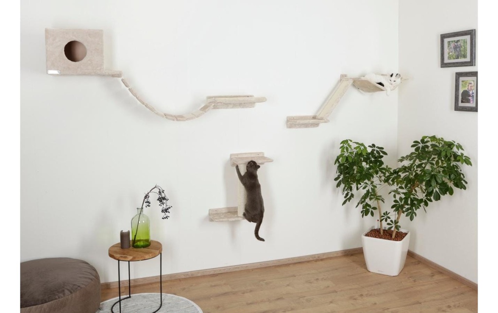 Gallery 8