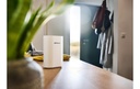 Gallery 12