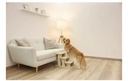 Gallery 3
