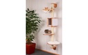 Gallery 11