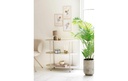 Gallery 5