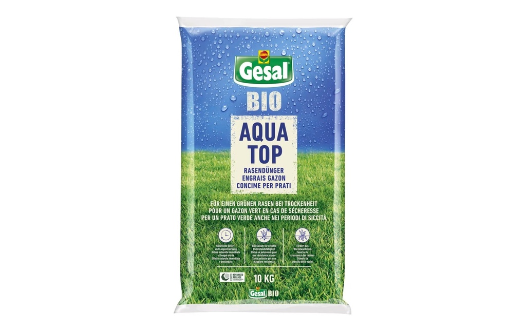 Gallery 1