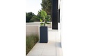 Gallery 3