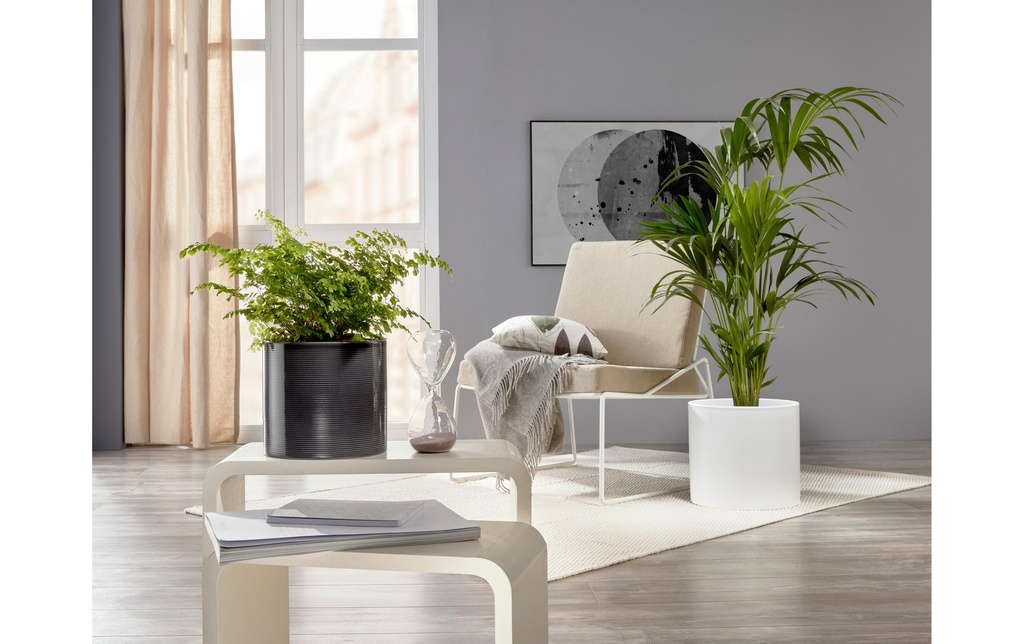 Gallery 4
