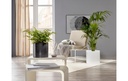 Gallery 4