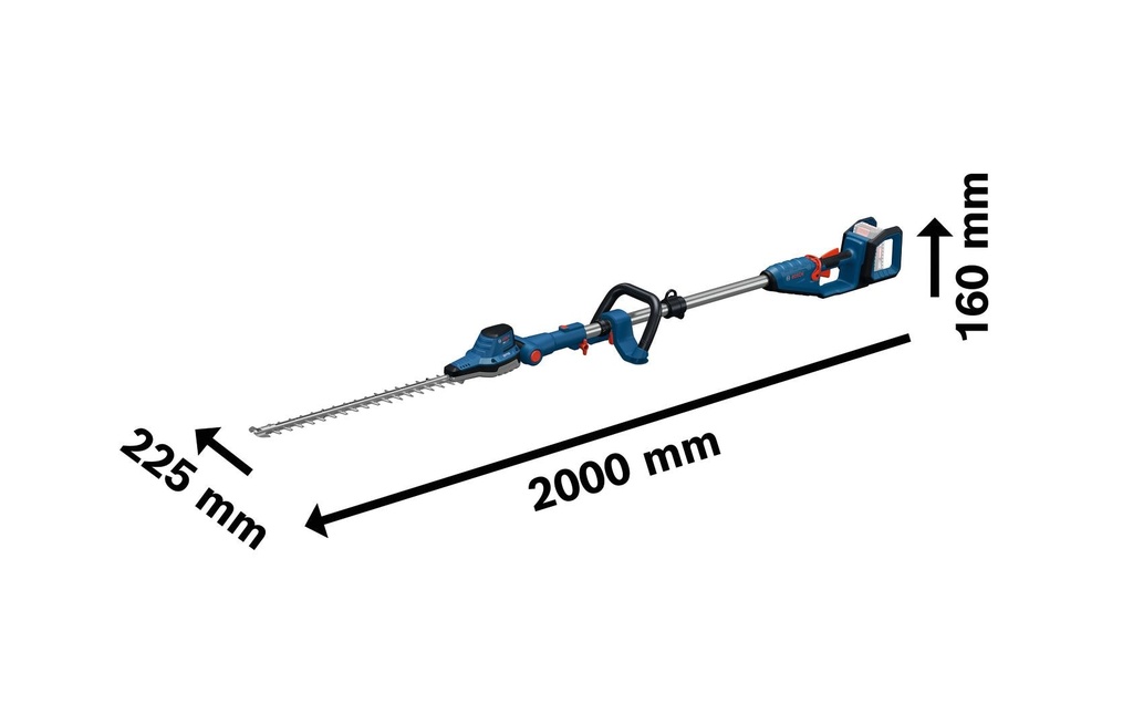 Gallery 6