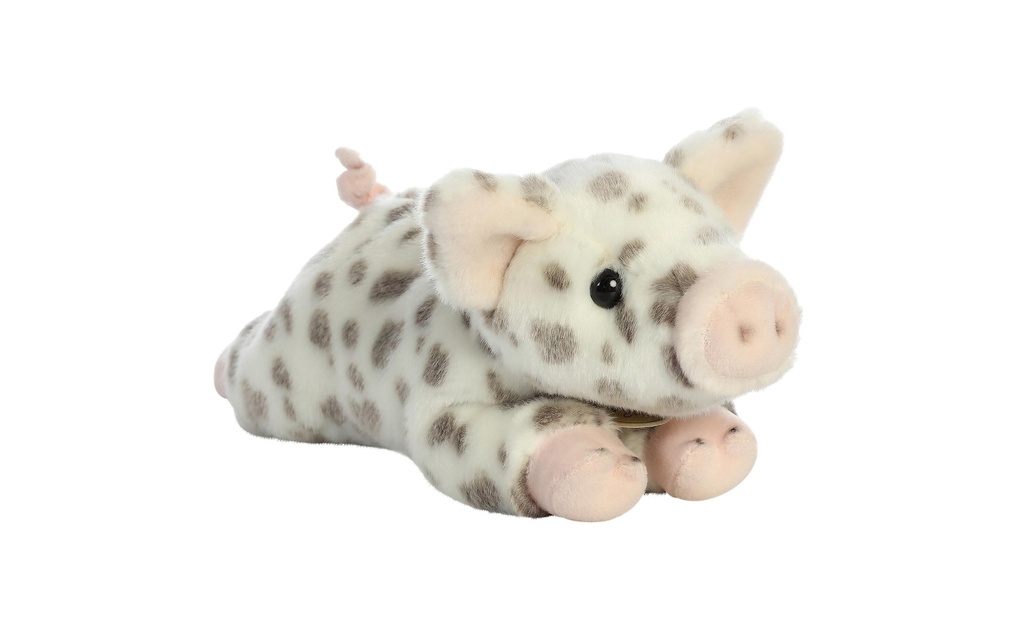Gallery 1