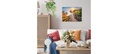 Gallery 5