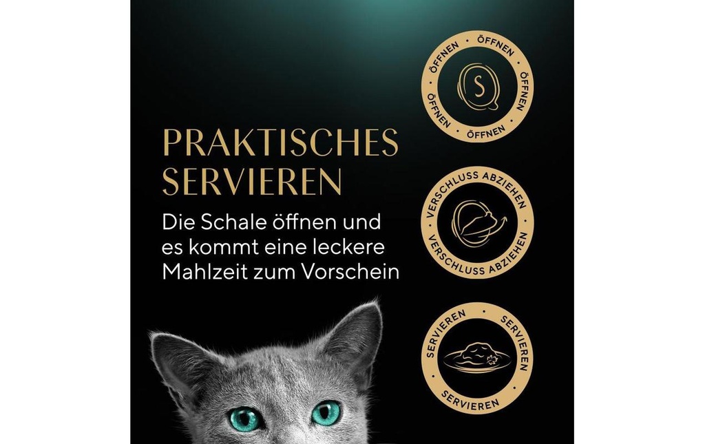 Gallery 2