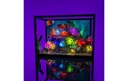 Gallery 10