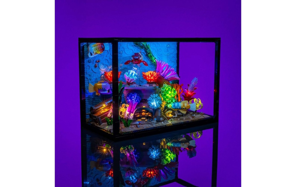 Gallery 13