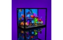Gallery 13