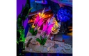 Gallery 14