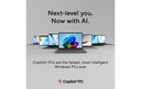 Gallery 11