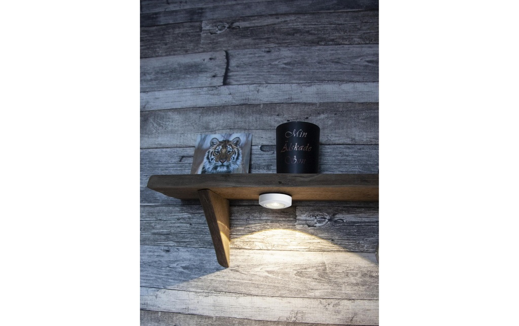 Gallery 1