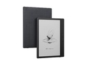 Boox eReader Go 7 E-Ink Tablet Schwarz