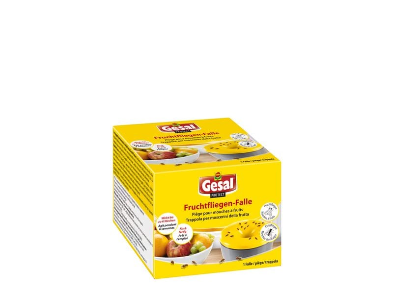 Gesal Protect Fruchtfliegen-Falle 1 Stk