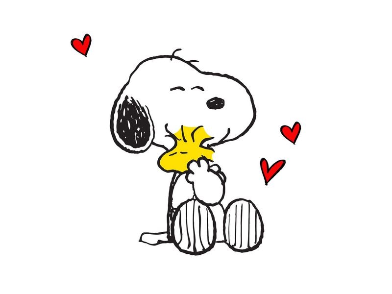 Braun + Company Snoopy Gross 20 Stück