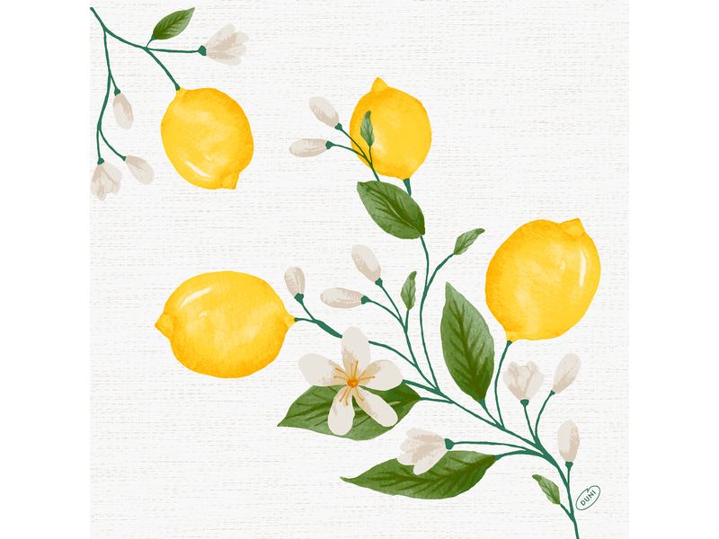 Duni Papierservietten Lemon Fiesta 40 cm x 40 cm, 60 Stück