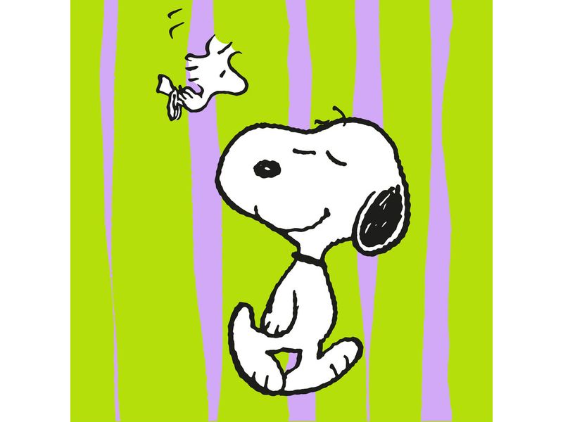 Braun + Company Snoopy Grün 20 Stück