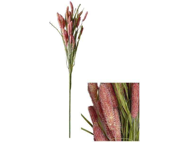 [2082835] CHALET Blumenstiel Setaria 70 cm, Pink