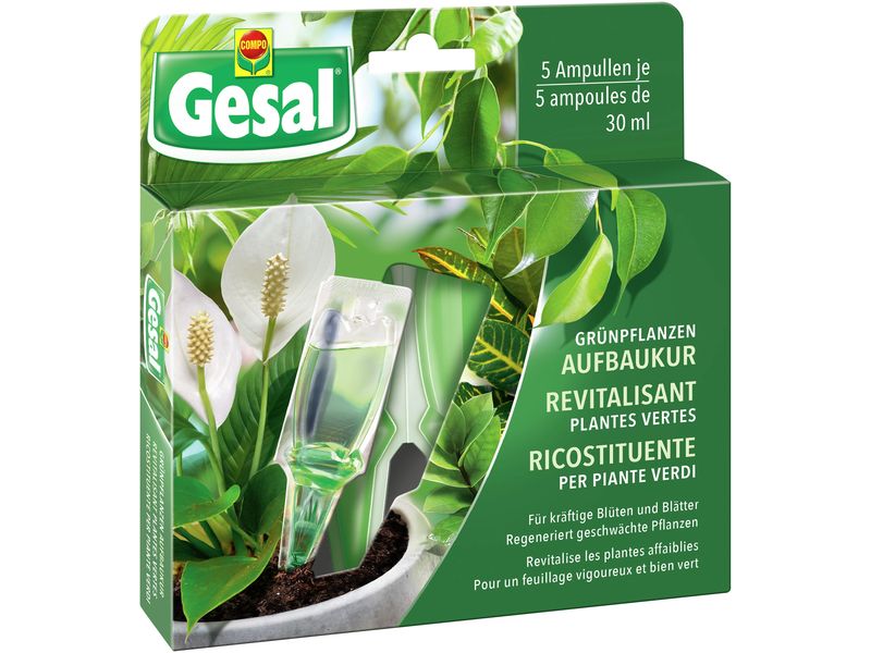 [2052994] Gesal Grünpflanzen Aufbaukur 5 x 30 ml