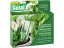 Gesal Grünpflanzen Aufbaukur 5 x 30 ml