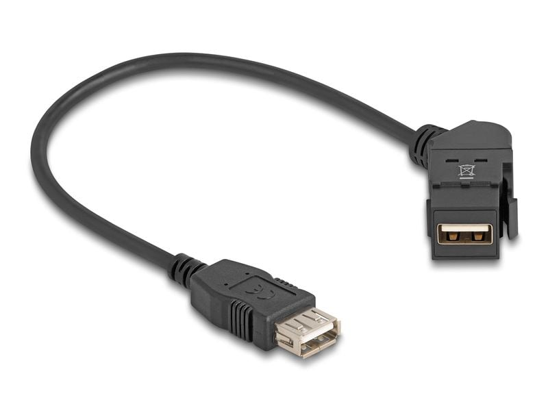 Delock Keystone-Modul USB 2.0 Typ-A – A Einbaubuchse 45° gewinkelt