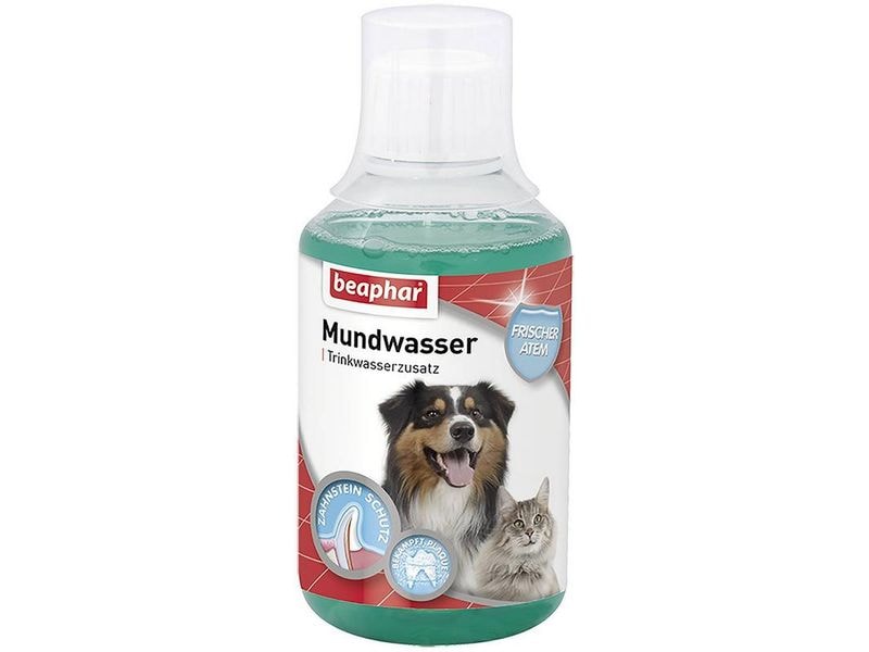 Beaphar Mundwasser mit Menthol 250 ml