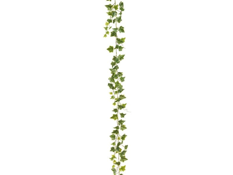 Botanic-Haus Efeugirlande Grün/Weiss 180 cm