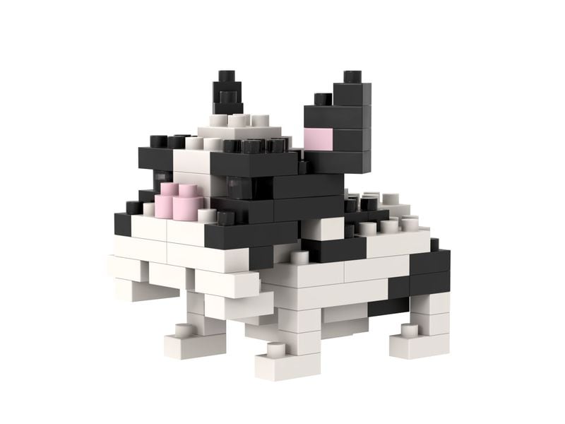 BRIXIES Bausteinmodell Französische Bulldogge aus 86 Bausteinen
