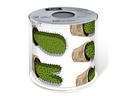 Paper + Design Toilettenpapier Cactuses 1 Rollen, 3-lagig, Grün
