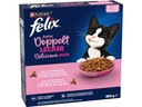 Felix Trockenfutter Doppelt Lecker Junior Geflügel 800 g