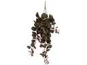 present time Kunstpflanze Ceropegia 78.7 cm